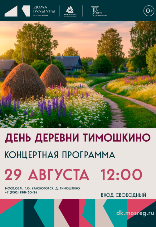 День деревни Тимошкино