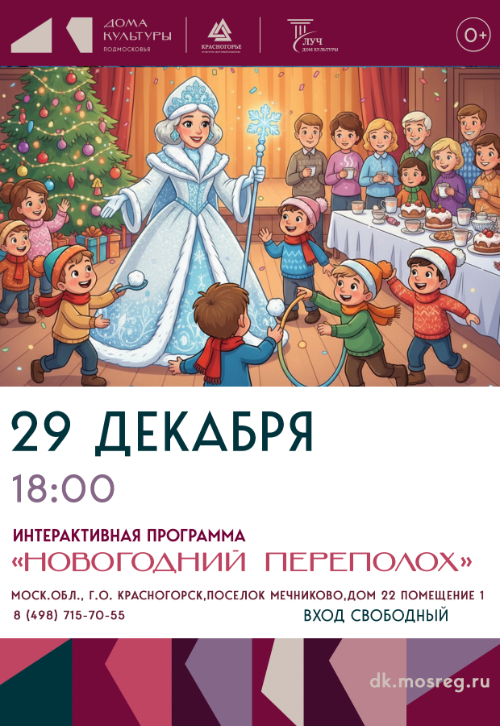 Интерактивная программа «Новогодний переполох»