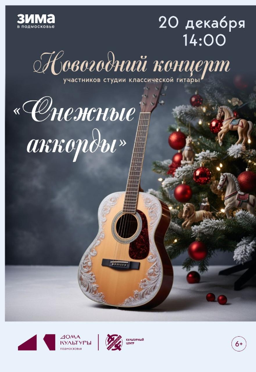 Концертная программа студии классической гитары «Снежные аккорды»
