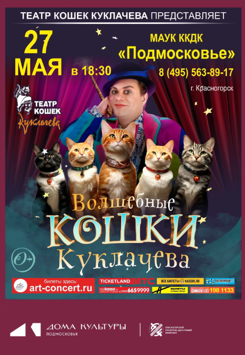 Спектакль «Волшебные кошки»