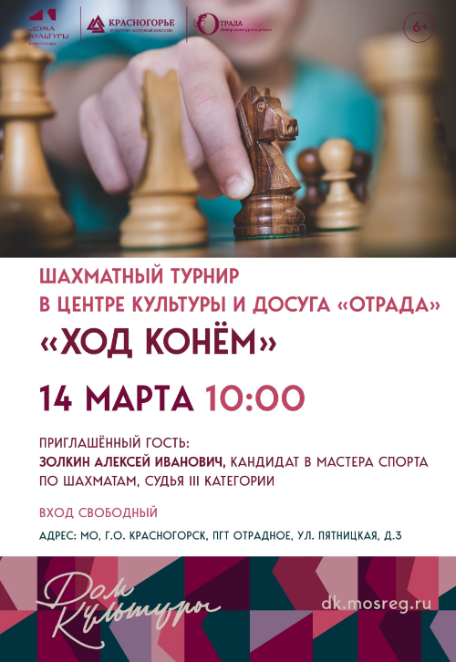 Шахматный турнир «Ход конём»