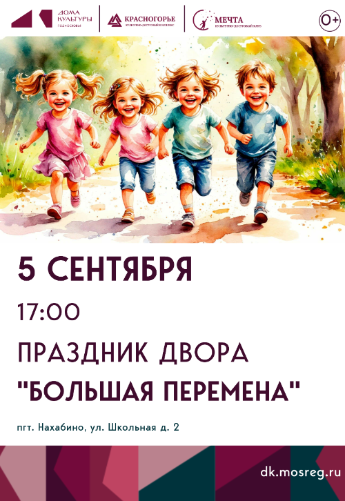Праздник двора «Вместе весело шагать…»